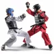 Rise Club Sparring Image